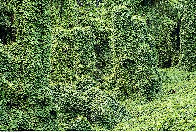 网易大作《燕云十六声》将于12月底上线PC平台